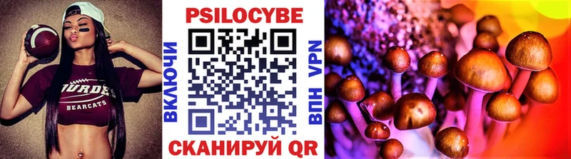 Псилоцибиновые грибы Magic Shrooms  блэк спрут ссылки  Славянск-на-Кубани 